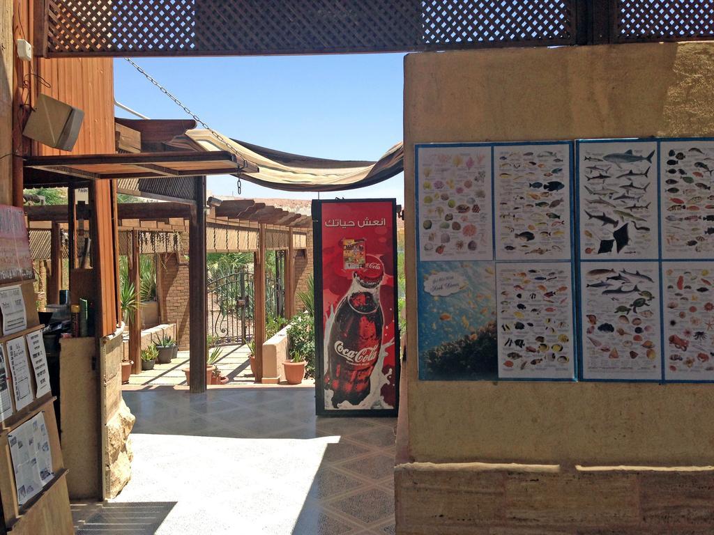 Arab Divers Dive Center And Bed & Breakfast Aqaba Esterno foto